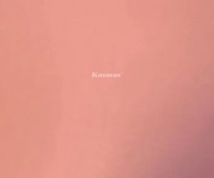 Tấm ốp than tre tráng gương TT-813